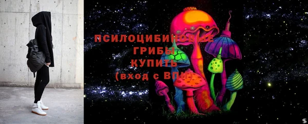 альфа пвп Горнозаводск