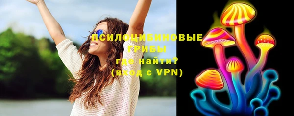 альфа пвп Горнозаводск
