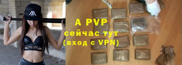 хмурый Горно-Алтайск