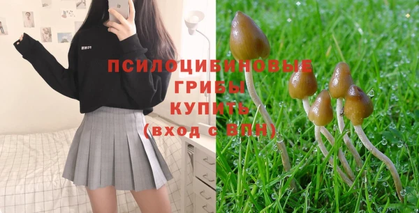альфа пвп Горнозаводск