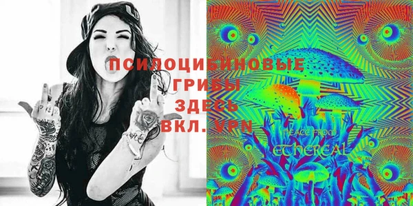 альфа пвп Горнозаводск