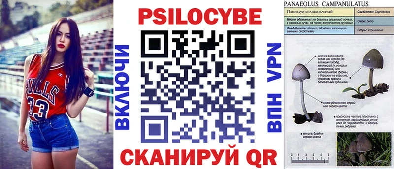 Купить где  Светлый  Псилоцибиновые грибы Cubensis 